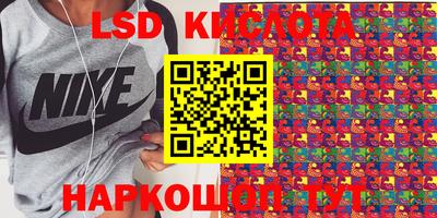 твердый Новодвинск