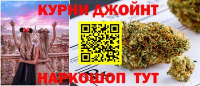 крисы Новозыбков