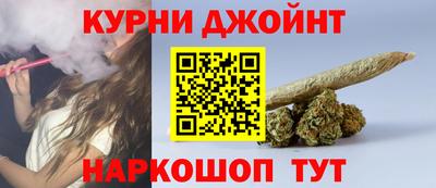 крисы Новозыбков