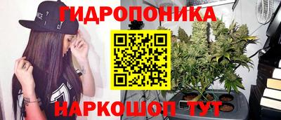 крисы Новозыбков