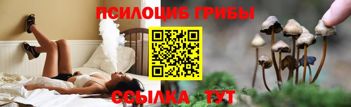 Новошахтинск  Псилоцибиновые грибы прущие грибы  Вход с VPN  Псилоцибиновые грибы прущие грибы 